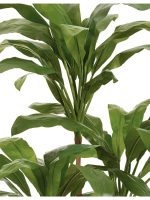 Искусственное дерево Кордилина Фрутикоза зелёная, Treez 10.25007N — изображение 3