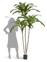 Искусственное дерево Кордилина Фрутикоза зелёная, Treez 10.25007N — изображение 4