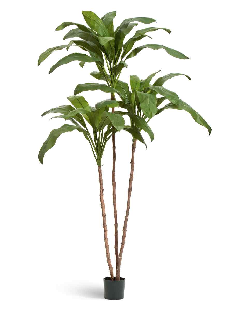 10.25007N Искусственное дерево Кордилина Фрутикоза зелёная, Treez 10.25007N — изображение 1