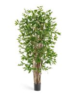 Искусственное дерево Драцена Саркула Спотти, Treez 10.26004N