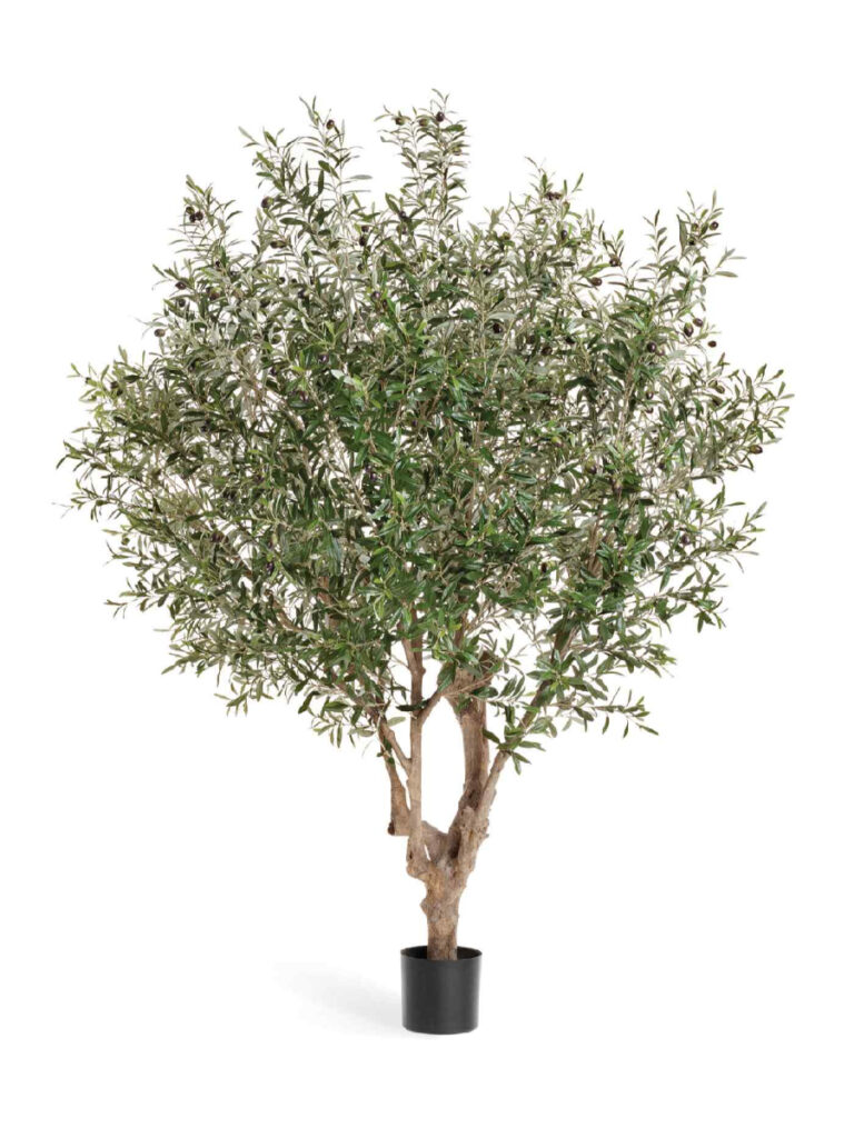 Искусственное дерево Олива Джи-Форест с плодами (сборная)