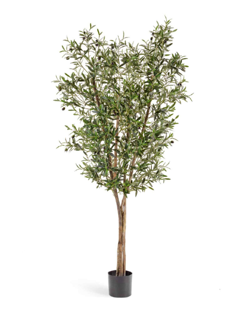 Искусственное дерево Олива Нэйчерел с плодами