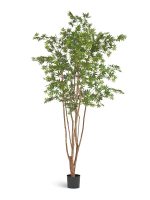 Искусственное дерево Клён японский Вайлд зелёный, Treez 10.28406N — изображение 3