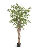Искусственное дерево Клён японский Вайлд зелёный, Treez 10.28406N — изображение 2