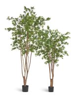 Искусственное дерево Клён японский Вайлд зелёный, Treez 10.28406N