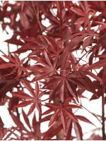 Искусственное дерево Клён японский Вайлд красный, Treez 10.28406R — изображение 3