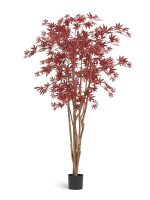 Искусственное дерево Клён японский Вайлд красный, Treez 10.28406R