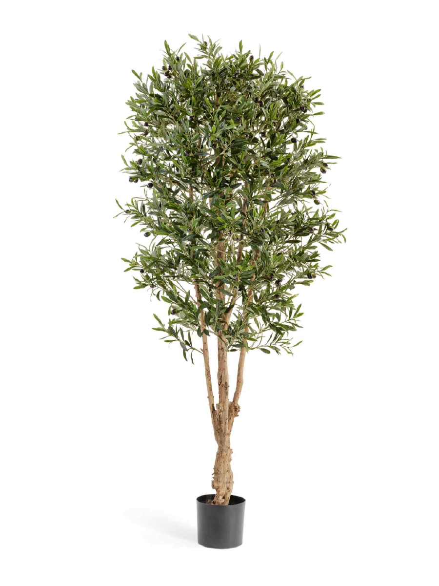 Искусственное дерево Олива Форест с плодами Искусственное дерево Олива Форест с плодами