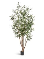 Искусственное дерево Олива Вайлд с плодами, Treez 10.28807N