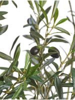 Искусственное дерево Олива Вайлд с плодами, Treez 10.28807N — изображение 2