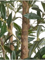 Искусственное дерево Олива Вайлд с плодами, Treez 10.28807N — изображение 3