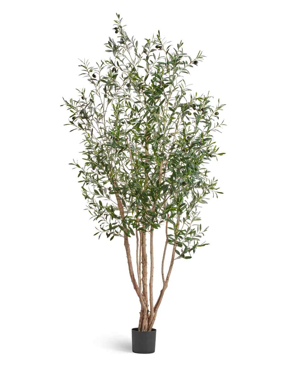 10.28807N Искусственное дерево Олива Вайлд с плодами, Treez 10.28807N — изображение 1