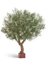 Искусственное дерево Олива Олден на толстом стволе, Treez 10.29007N