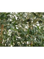 Искусственное дерево Олива Олден на толстом стволе, Treez 10.29007N — изображение 7