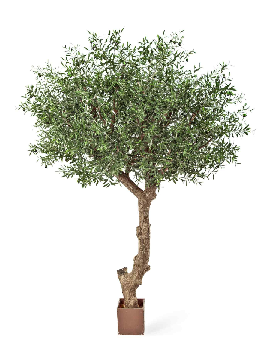 Искусственное дерево Олива Олден на толстом стволе Искусственное дерево Олива Олден на толстом стволе