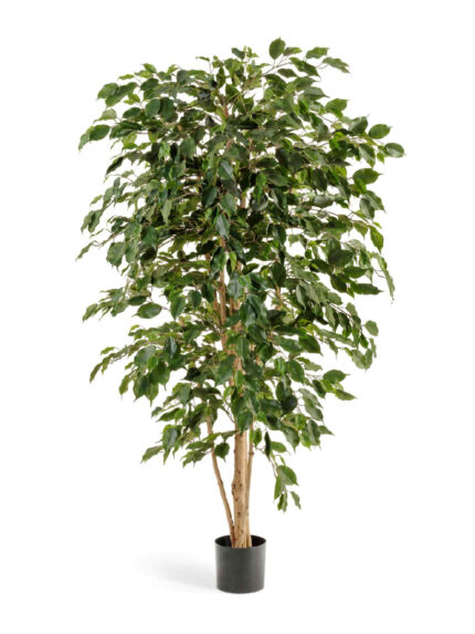 Искусственное дерево Фикус Бенджамина Нитида