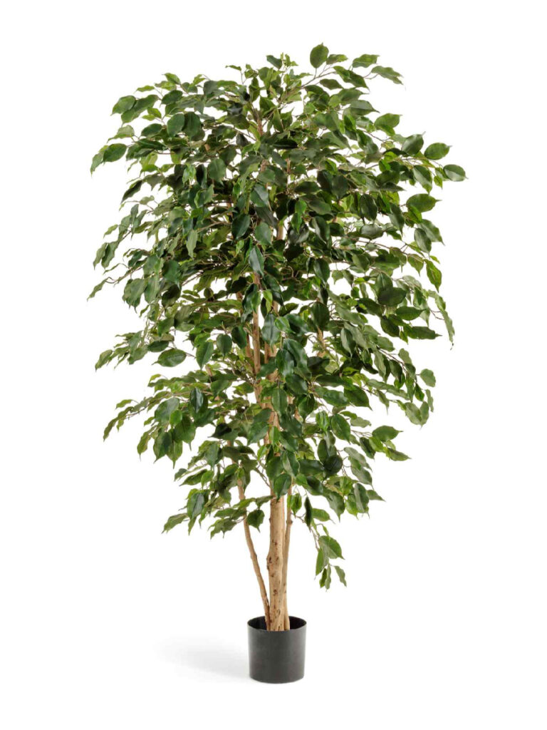 Искусственное дерево Фикус Бенджамина Нитида