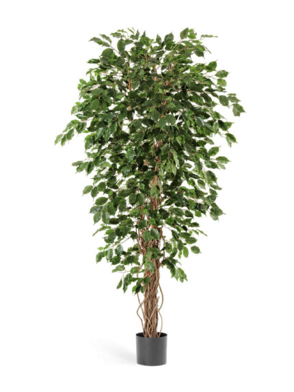 Искусственное дерево Фикус Бенджамина Лиана