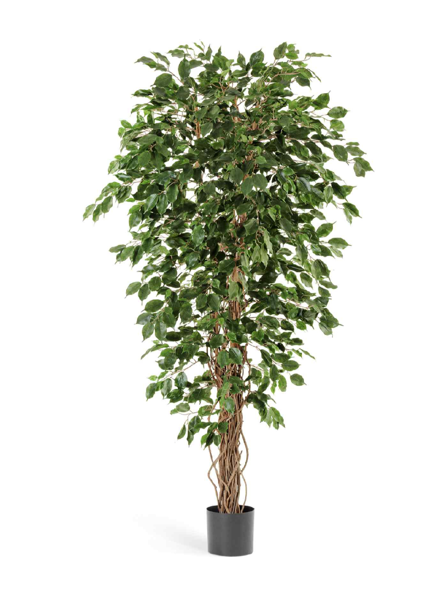 Искусственное дерево Фикус Бенджамина Лиана Искусственное дерево Фикус Бенджамина Лиана