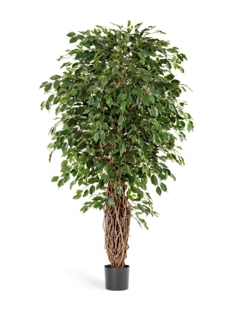 Искусственное дерево Фикус Бенджамина Лиана Де Люкс