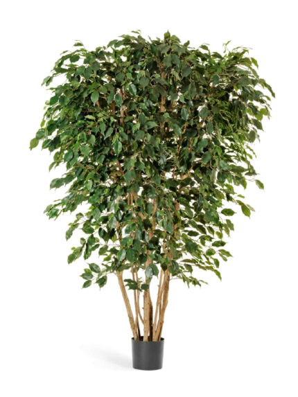 Искусственное дерево Фикус Бенджамина многоствольный