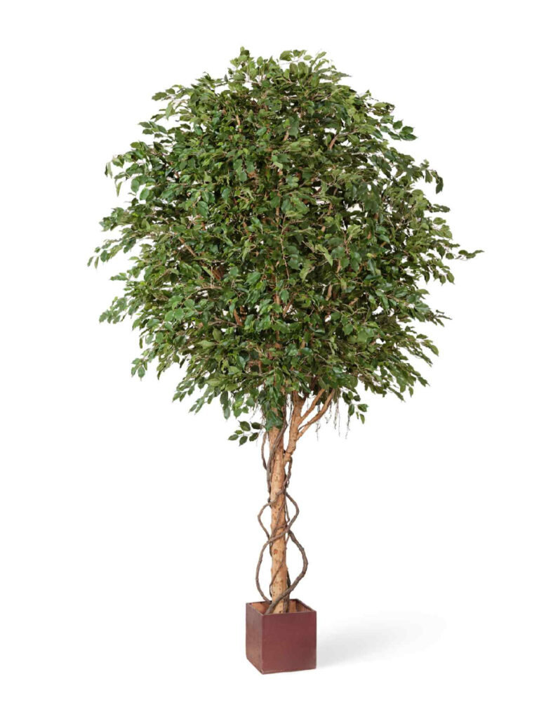 Искусственное дерево Фикус Бенджамина Гигантский