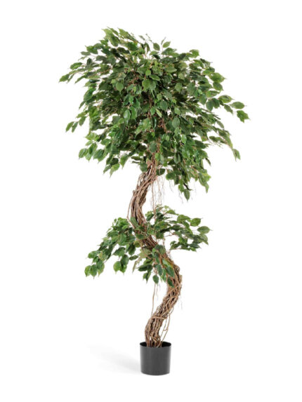 Искусственное дерево Фикус Бенджамина Коркскрю