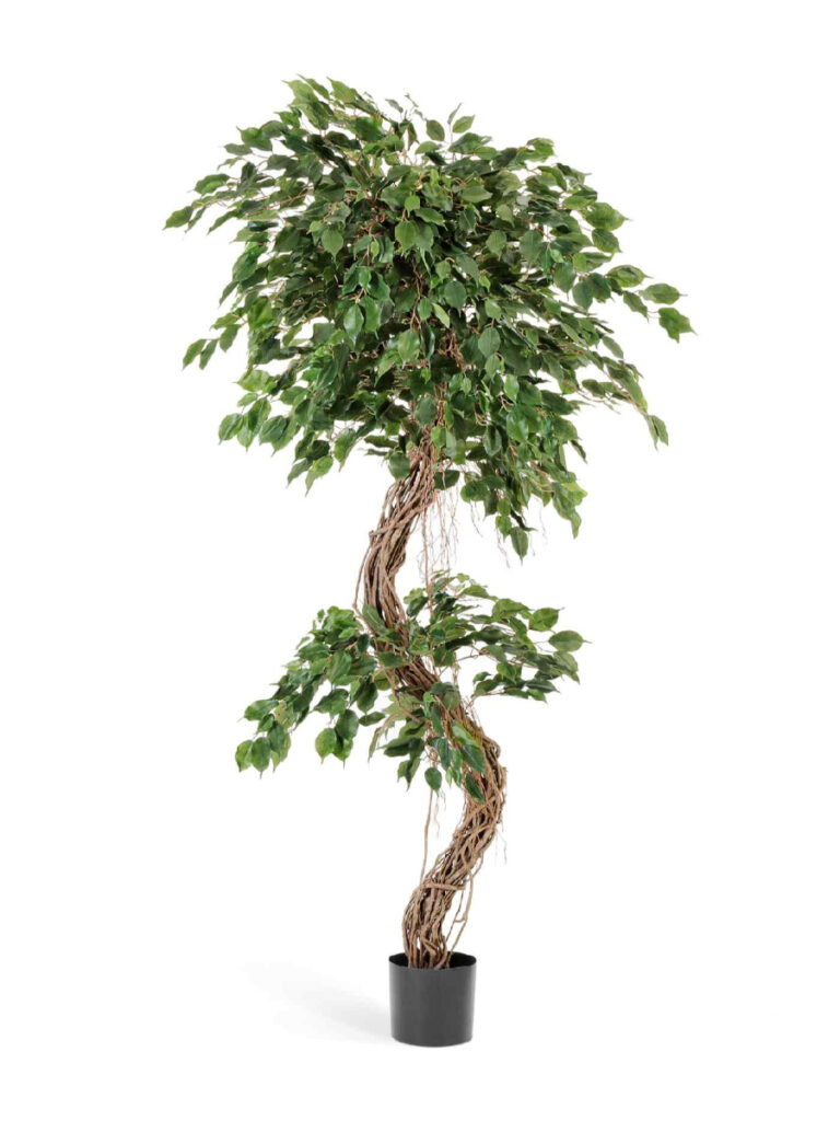 Искусственное дерево Фикус Бенджамина Коркскрю
