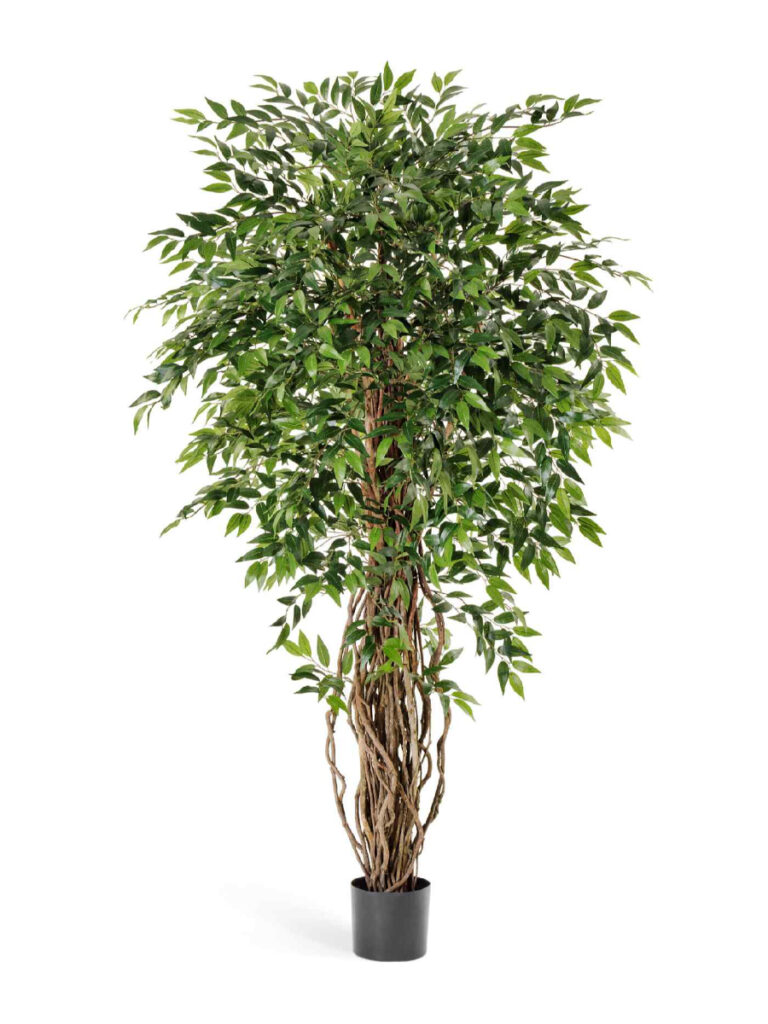 Искусственное дерево Фикус френч лиана де люкс