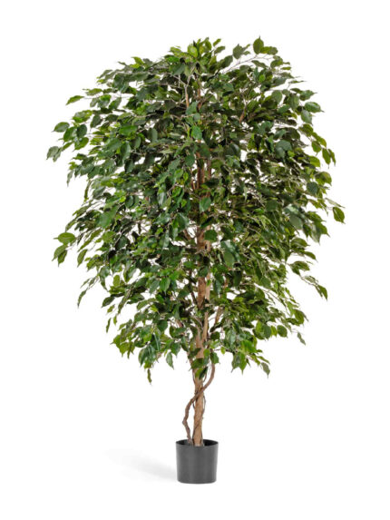 Искусственное дерево Фикус Бенджамина Де Люкс