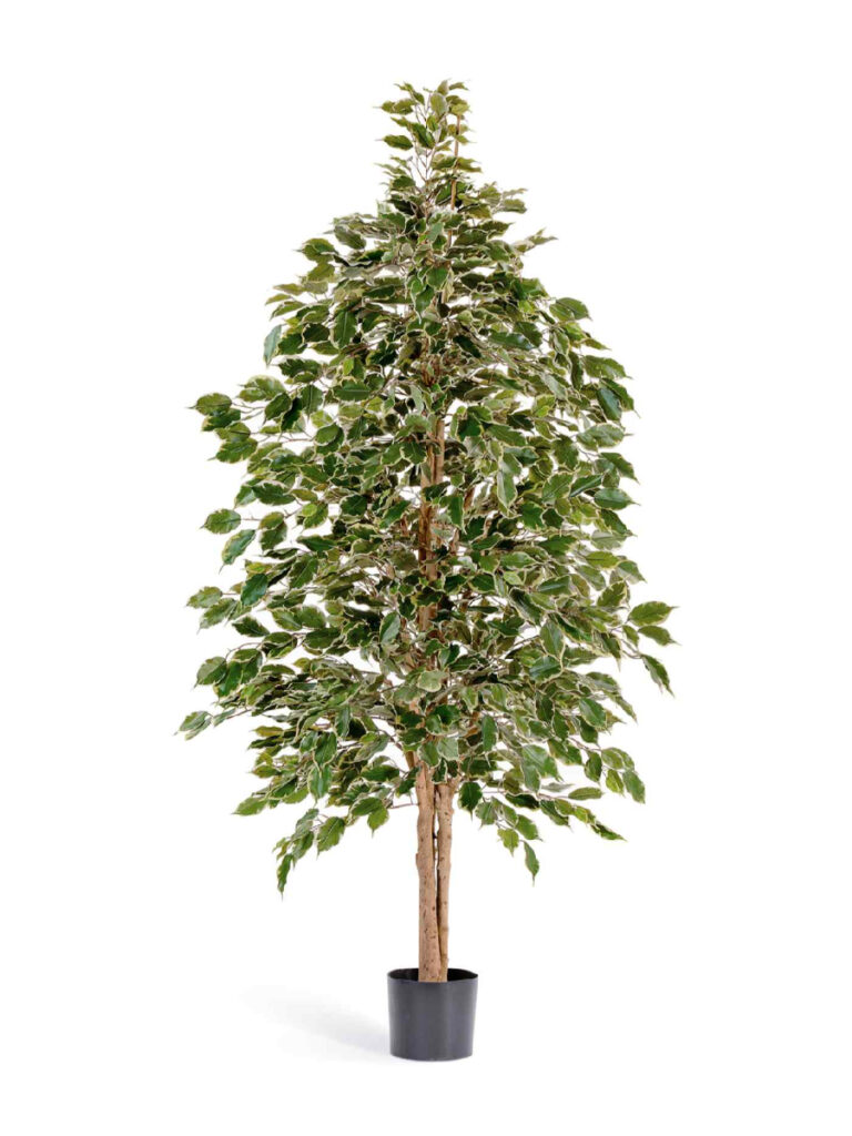 Искусственное дерево Фикус Бенджамина пёстрый натуральный