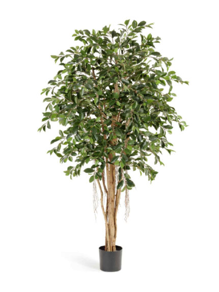 Искусственное дерево Фикус Ретуса