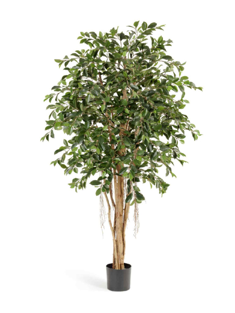 Искусственное дерево Фикус Ретуса
