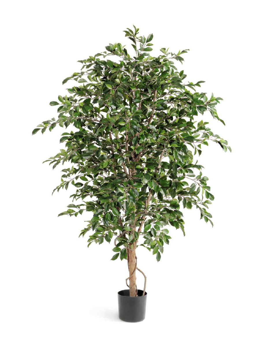 Искусственное дерево Фикус Фолиа зелёный Искусственное дерево Фикус Фолиа зелёный