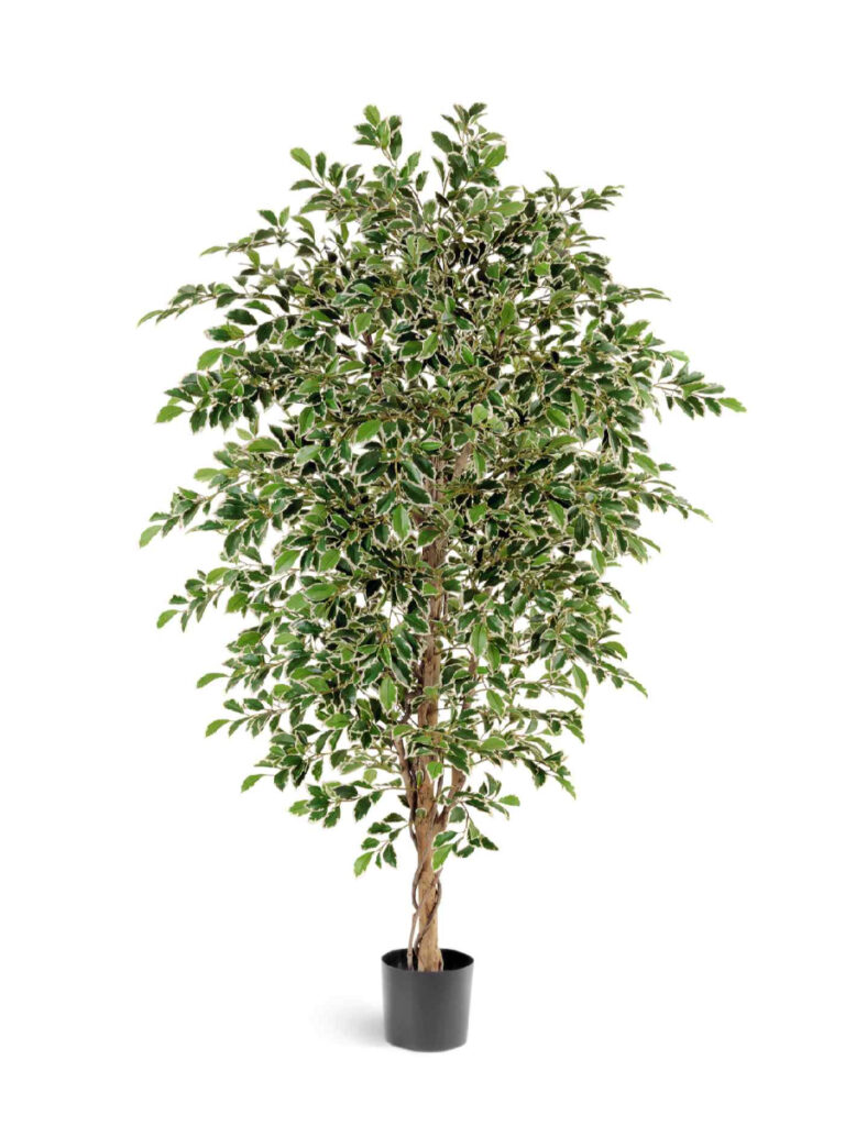 Искусственное дерево Фикус Фолиа пёстрый