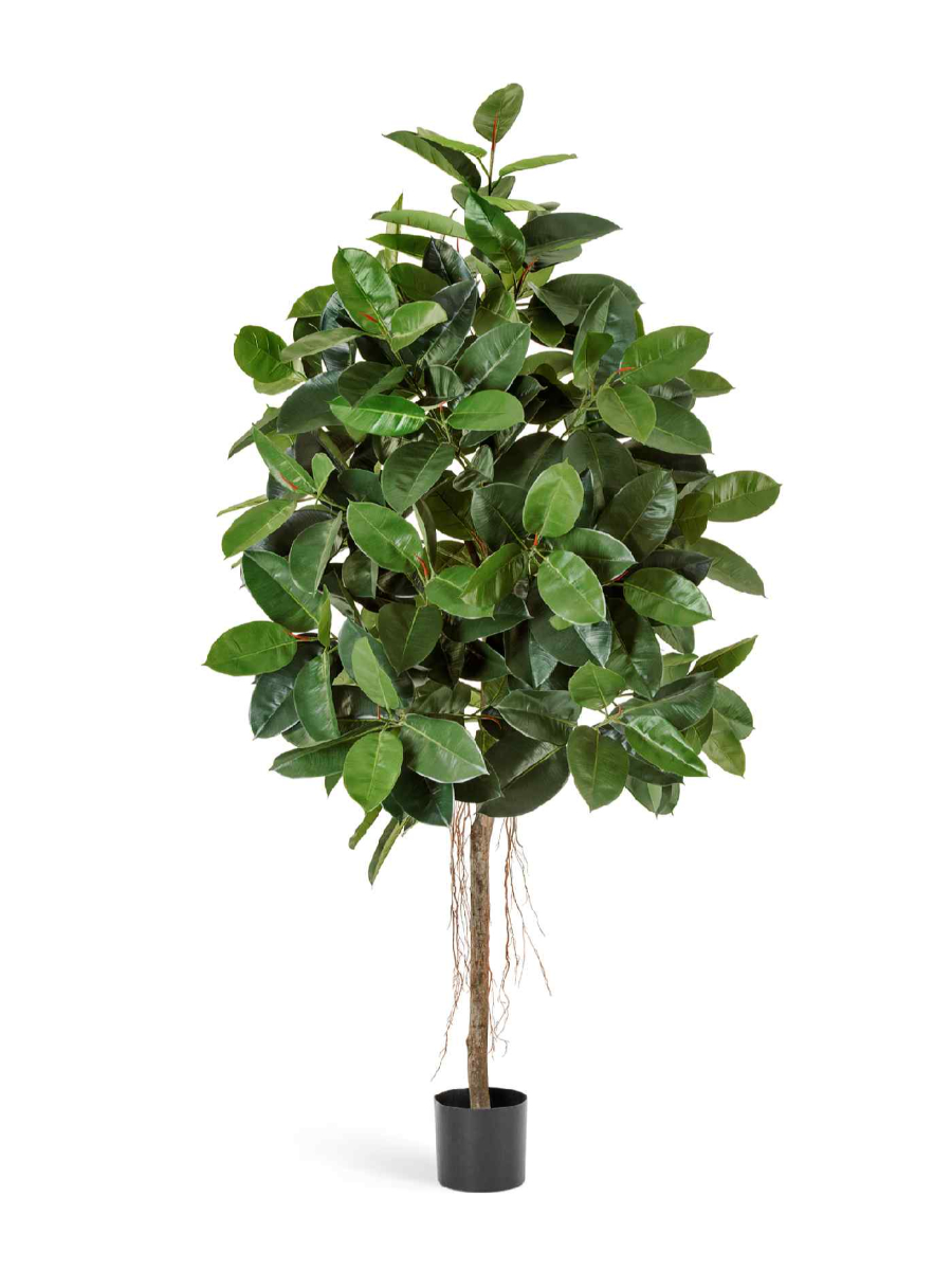 Искусственное дерево Фикус Эластика зелёный Искусственное дерево Фикус Эластика зелёный
