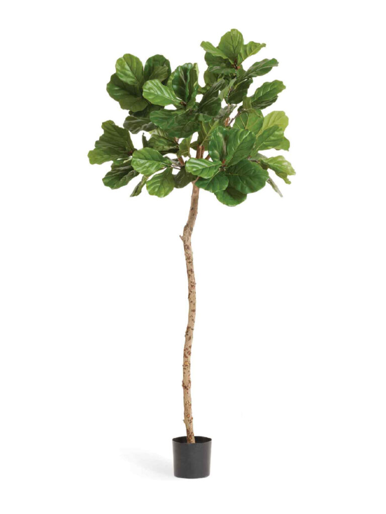 Искусственное дерево Фикус Лирата M-Style на штамбе