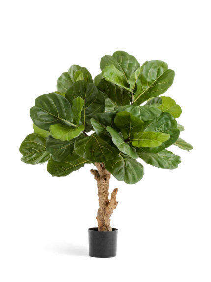Искусственное дерево Фикус Лирата Форест