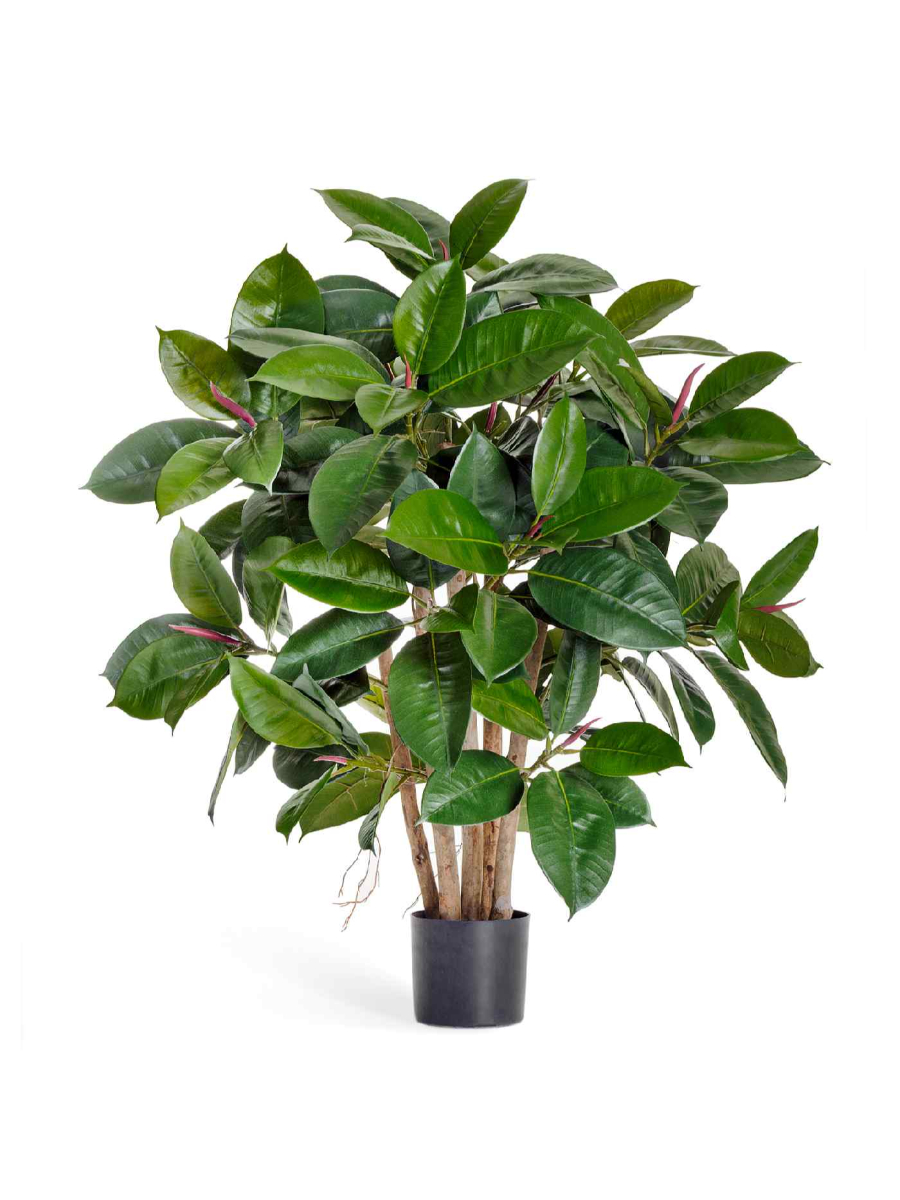 Искусственное дерево Фикус Эластика куст зелёный Искусственное дерево Фикус Эластика куст зелёный