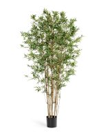Искусственное дерево Бамбук Японский ориенталь, Treez 10.34303N
