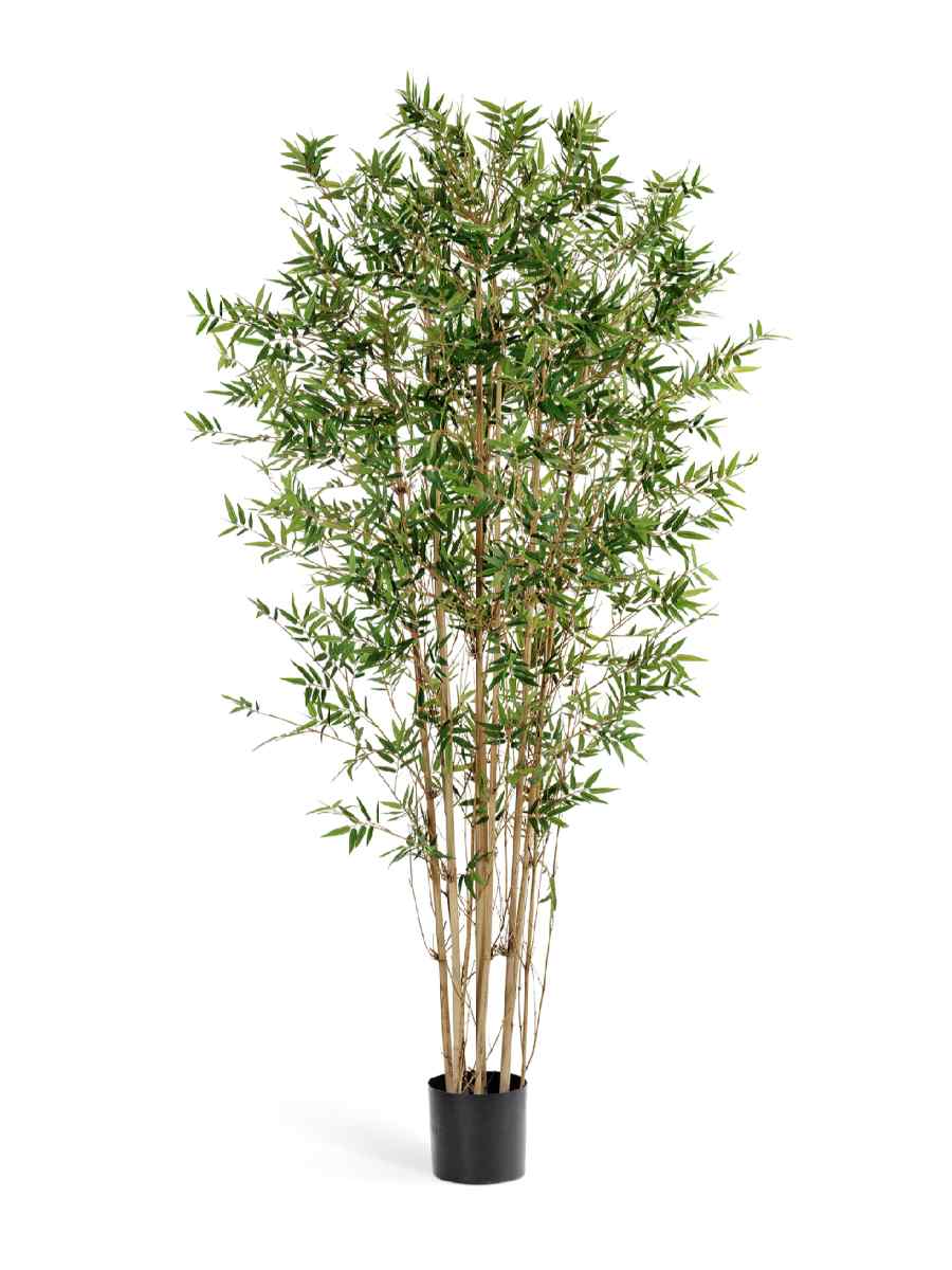 10.34304N Искусственное дерево Бамбук Японский ориенталь, Treez 10.34305N — изображение 1