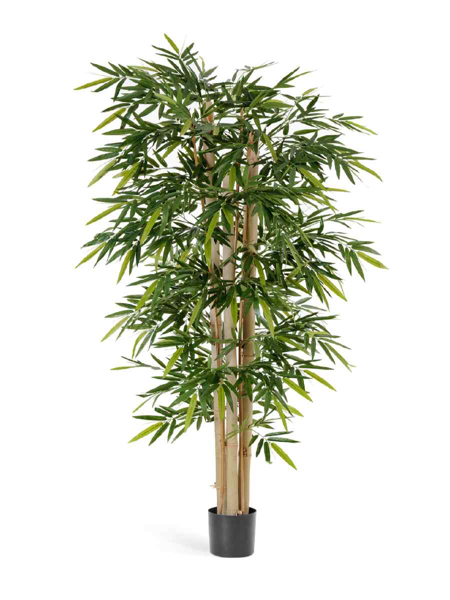 10.35305N Искусственное дерево Бамбук Новый гигантский, Treez 10.35310N — изображение 1