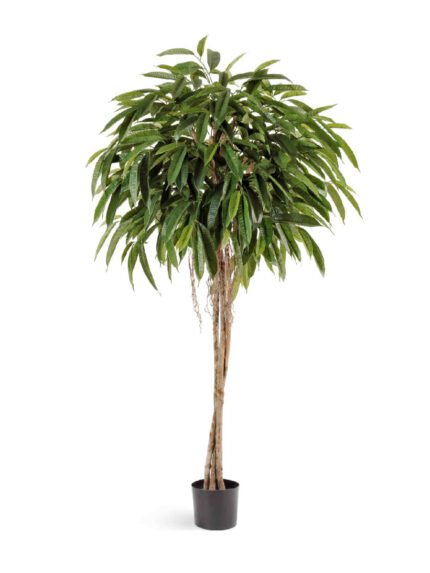 Искусственное дерево Лонгифолия зонтичная широколистная 180 см
