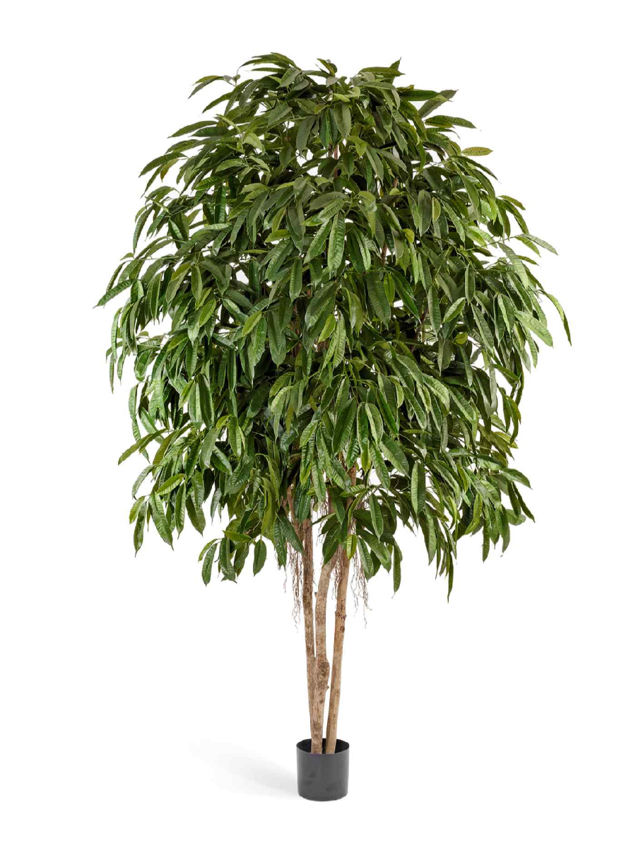 Искусственное дерево Лонгифолия широколистная многоствольная 270 см Искусственное дерево Лонгифолия широколистная многоствольная 270 см