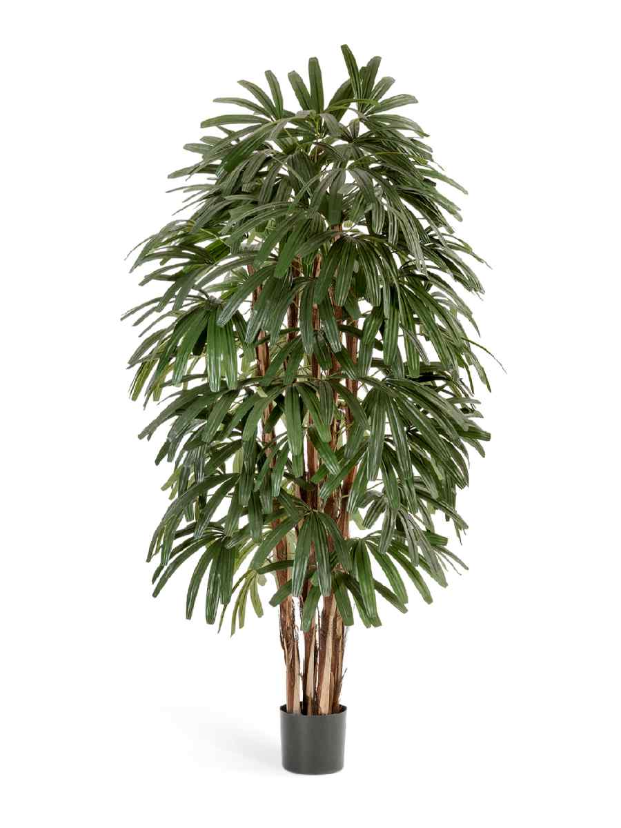 10.36204_205_206N_207N Искусственное дерево Рапис пальма широколистная, Treez 10.36205N — изображение 1