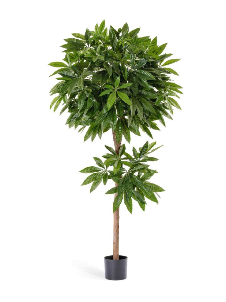 Искусственное дерево Пахира