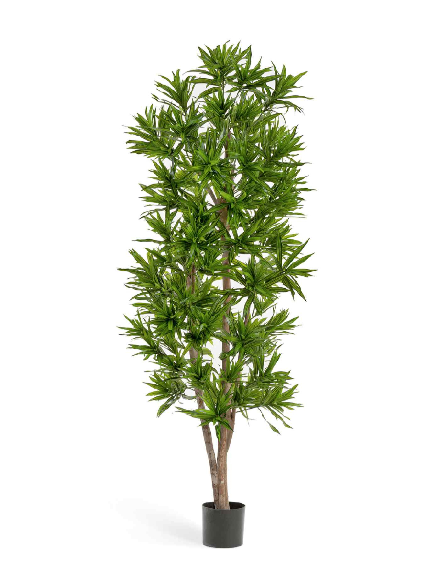 Искусственное дерево Драцена Рефлекса Искусственное дерево Драцена Рефлекса