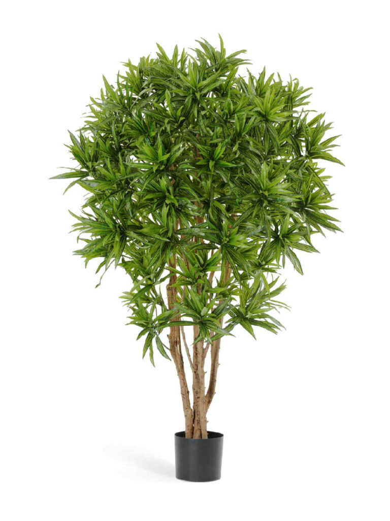 Искусственное дерево Драцена Рефлекса Ямайка