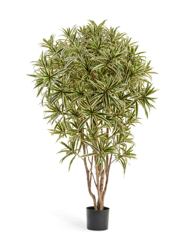 Искусственное дерево Драцена Рефлекса Ямайка Золотая 145 см