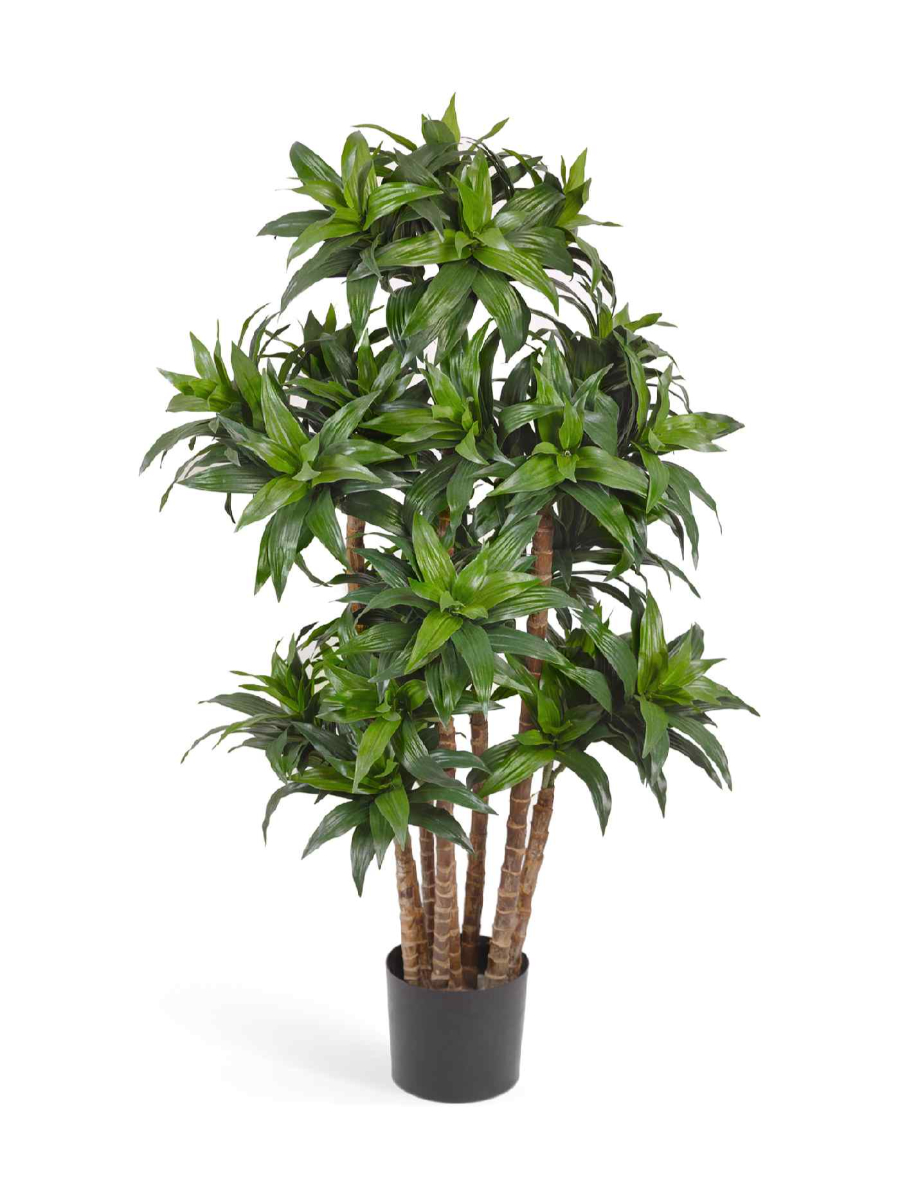 Искусственное дерево Драцена Компакта Искусственное дерево Драцена Компакта